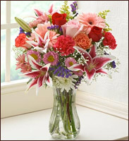 A picture of Tulips flowers.
